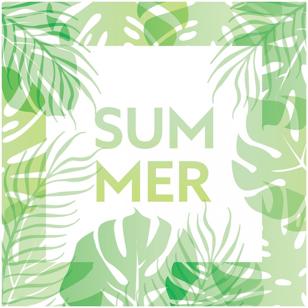 Summer Background with Green Tropical Leafs and Typography