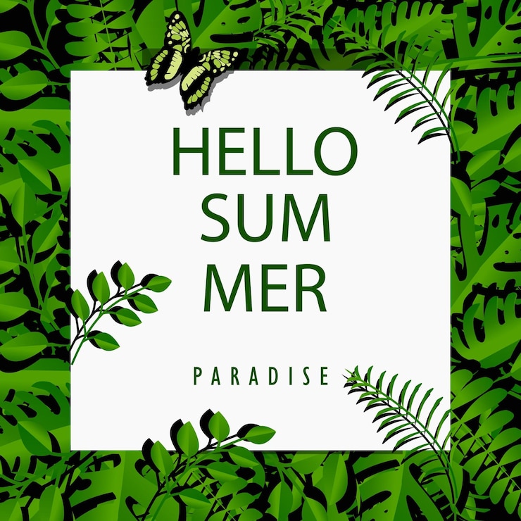 Vector summer background with leaf decoration vector design