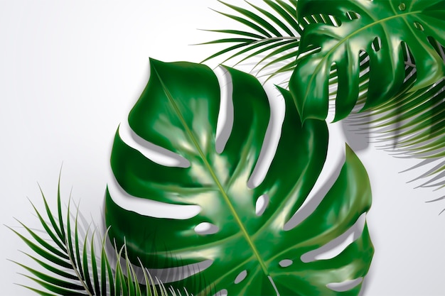 Vector summer background with tropical leaves and shadows