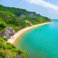 Vettore estate sulla spiaggia palme e piante intorno illustrazione vettoriale vacanze estive sulla costa del mare bianco