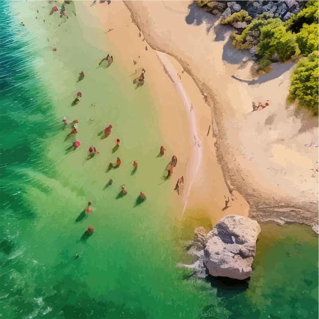 Vettore estate sulla spiaggia palme e piante intorno illustrazione vettoriale vacanze estive sulla costa del mare bianco