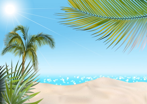 Летний пляж с пальмами и морской фон