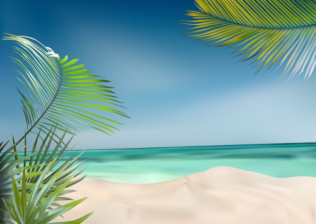 Summer beach with palms and sea background