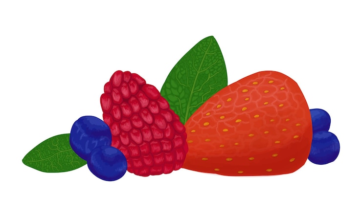 Vector summer berries blueberries raspberries strawberries with mint leaves doodle linear cartoon