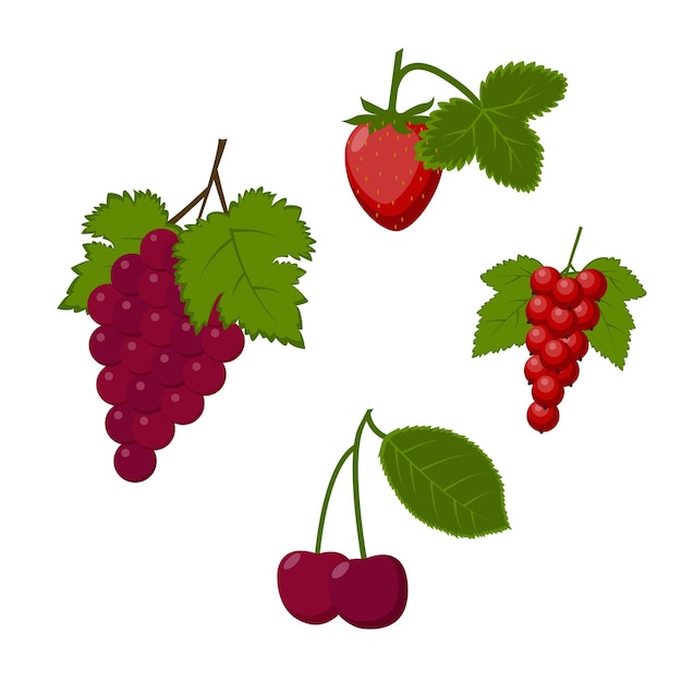 Summer berry set consisting of various berries, such as grapes, cherries, strawberries and currants. A collection of juicy berries. Vector illustration.