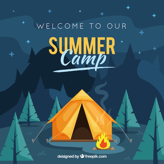 Summer camp background with night landscape