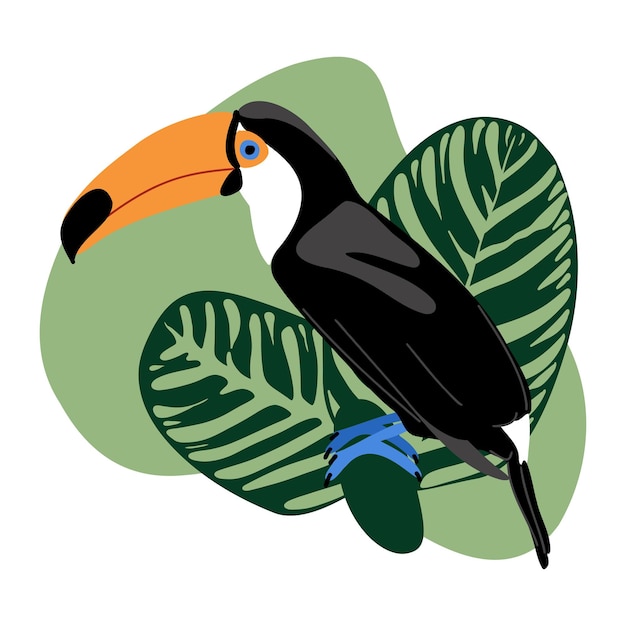 Vettore scheda estiva con foglie di tucano e calathea su sfondo astratto spot uccello esotico tropicale con grande becco e foglie verdi della giungla