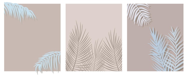 Summer exotic backgrounds with palm branches