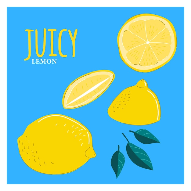 Summer exotic and tropical card design. Composition with lemons and leaves. Vector universal card wi