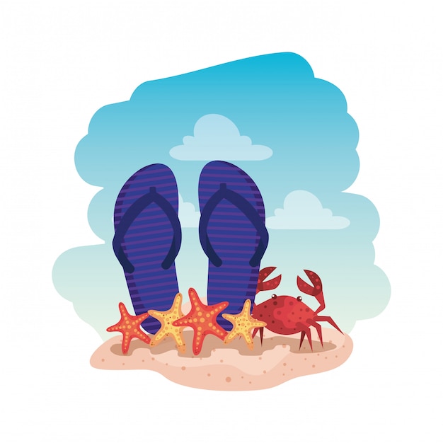 Vector summer flip flops and crab with starfish