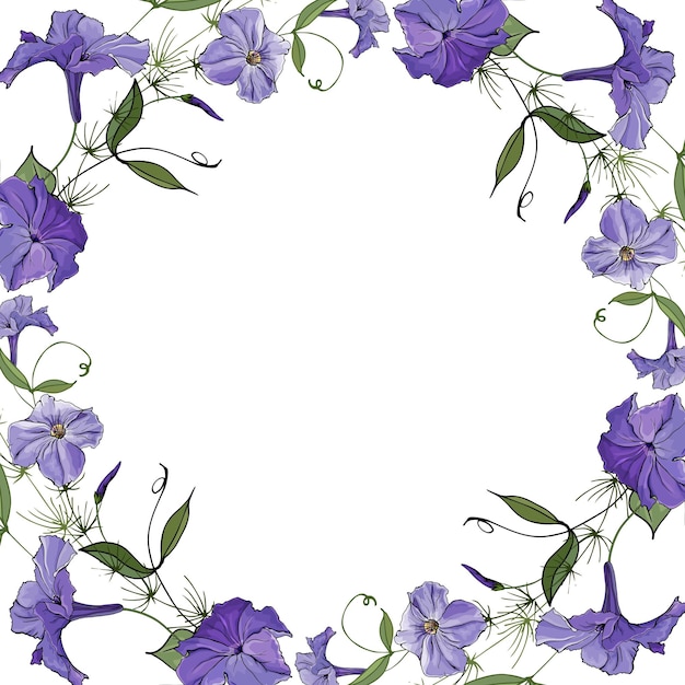 Vettore cornice estiva con fiori di petunia viola.
