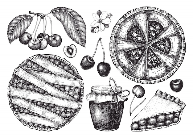 Summer fruits and berries - cherry sketches collection. Vintage illustrations of cherry branch, berries, baking cake. Hand drawn summer food elements in engraved style.