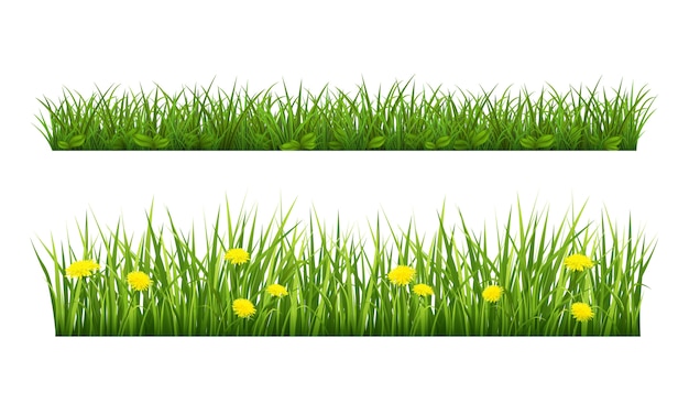 Vector summer grass border