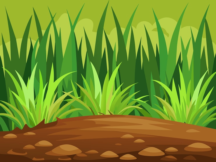 Vector summer green grass background