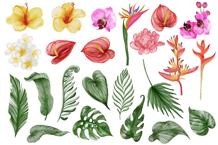 Vector summer greenery tropical leaf and flower isolated clip art watercolor