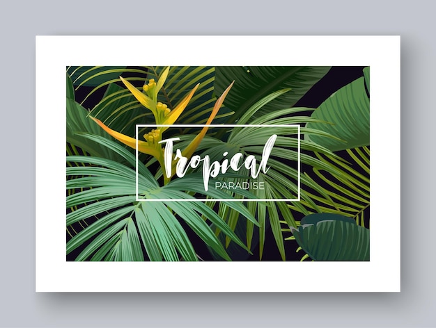 Summer hawaiian tropical card or flyer with exotic palm leaves flowers and lettering