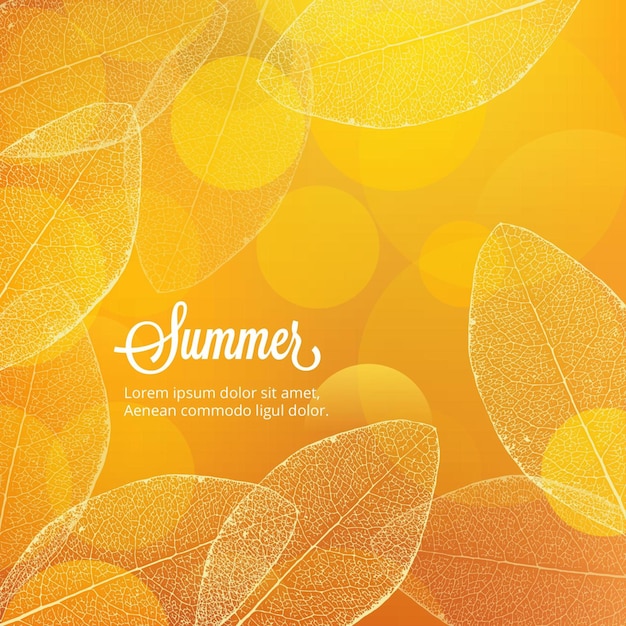 Vector summer illustration with leaves