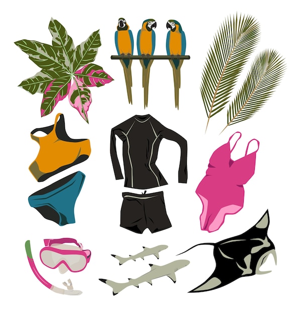 Vector summer items set suit snorkel manta reef sharks isolated active holidays objects