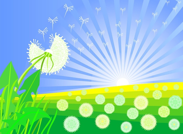 summer landscape with beautiful bright dandelion against daybreak sky and meadows