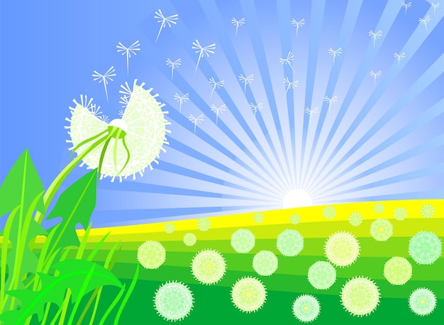 Summer landscape with beautiful bright dandelion against daybreak sky and meadows