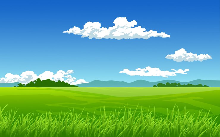 Vector summer landscape with meadow and clouds