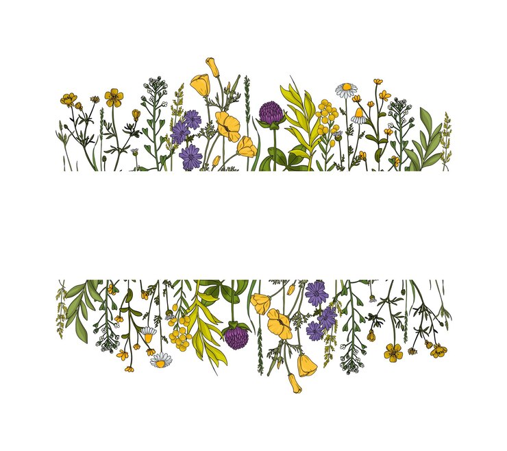 Vector summer meadow plants and insects colorful wildflowers bumblebees and butterflies on a white backgr