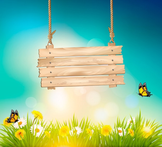 Summer nature background with green grass and wooden sign.