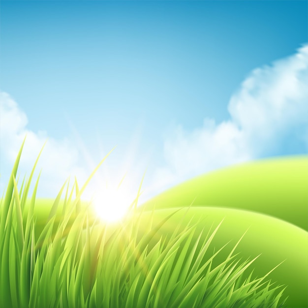 Vector summer nature sunrise background, a landscape with green hills and meadows, blue sky and clouds.