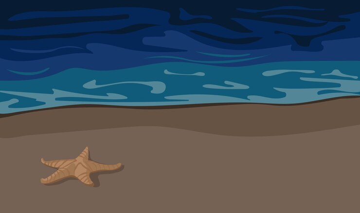 Vector summer night beach background seashore and starfish on sand vector illustration background for web