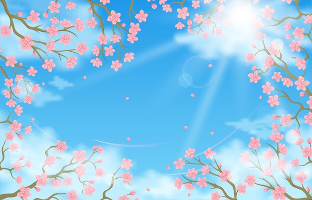 Summer Peach Cherry Blossom Background