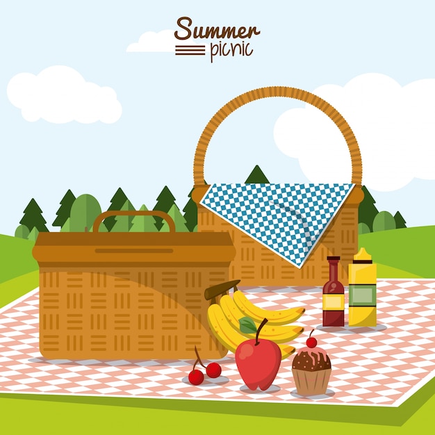 Summer picnic with two picnic baskets in tablecloth