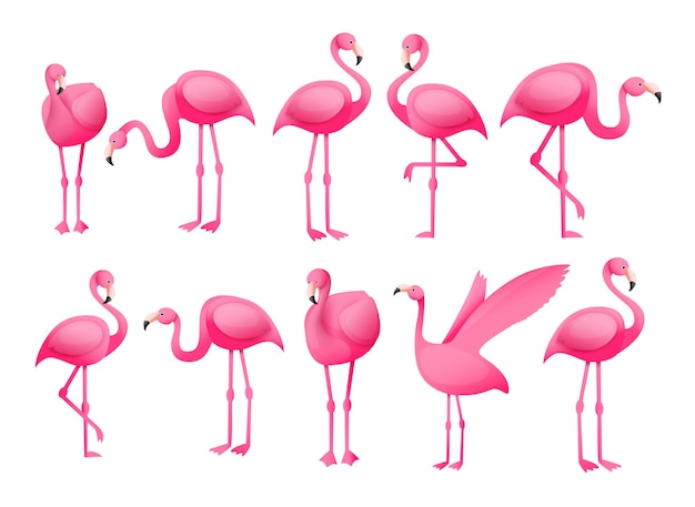 Summer pink flamingo vogel in staande poses collectie