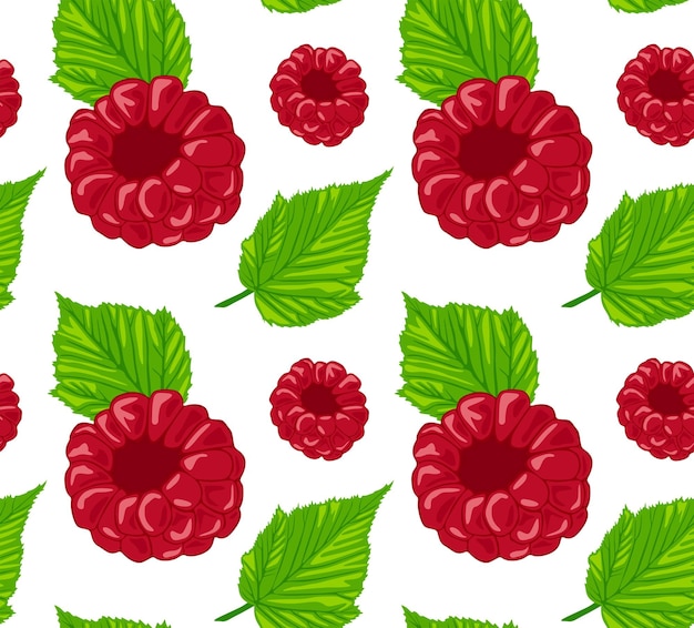 Vector summer raspberries with leaves