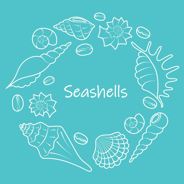 Summer round frame of sea shells white contour hand drawn seashells doodle illustration line vector marine elements