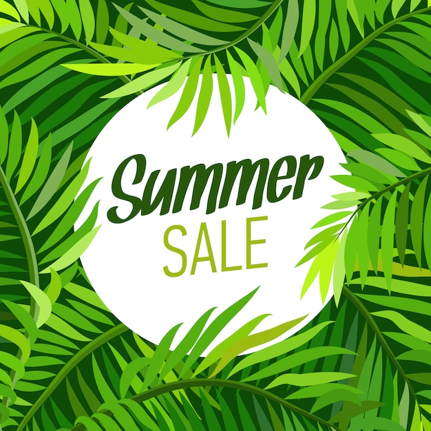 summer sale banner with palm leaf