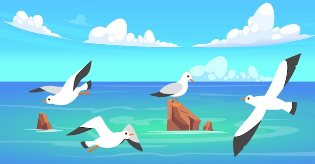 summer sea landscape with stones in water and clouds seabird gulls flying