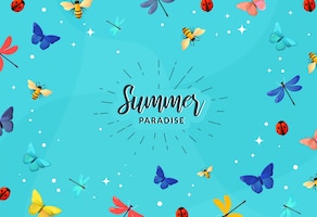Summer season background with dragonflies and butterflies