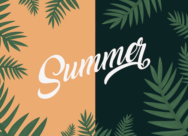 summer time background foliage