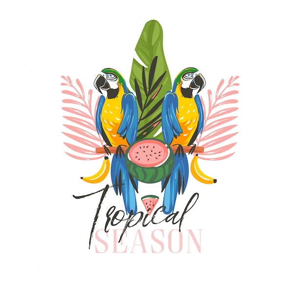 Vector summer time  illustrations with exotic tropical  with rainforest parrot macaw birds,watermelon and tropical season text isolated on white background