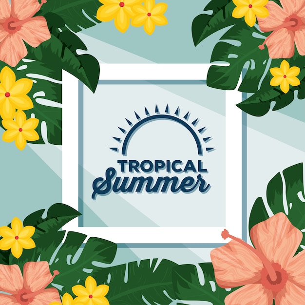 Summer tropical background