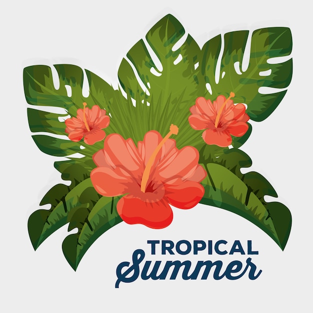 Summer tropical background 