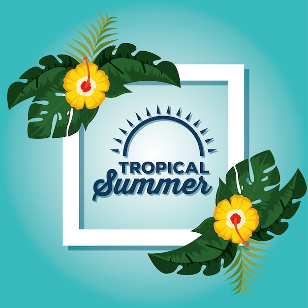 Summer tropical background