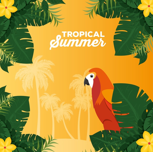 Summer tropical background 