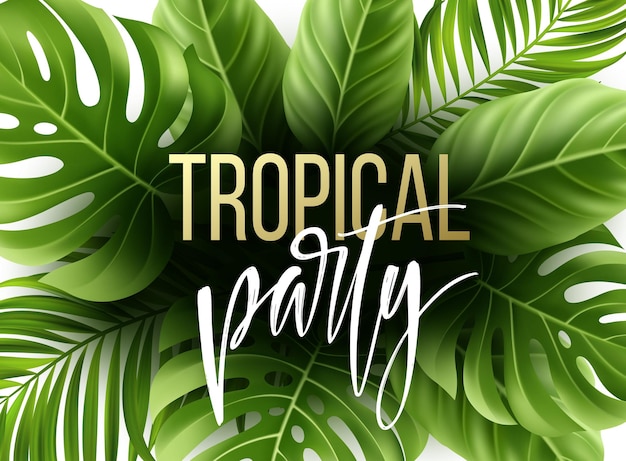 Vector summer tropical leaf background with exotic palm leaves.