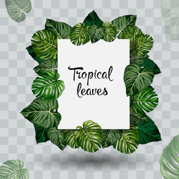 Summer tropical leaf. paper cut style.