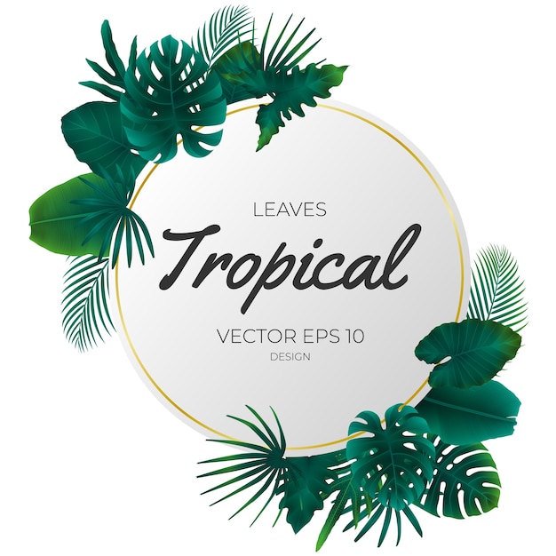 Summer tropical leaves template background.