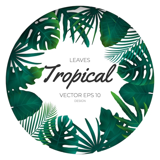 Vector summer tropical leaves template background.