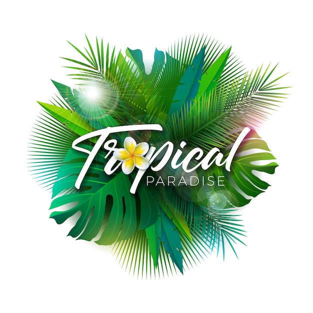 Summer Tropical Paradise Illustration with Exotic Palm Leaves