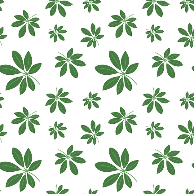 Summer tropical seamless Pattern Tropical Green leaf Endless pattern with Exotic plants Leaves background