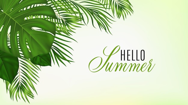 Summer tropical  with green palm leaves